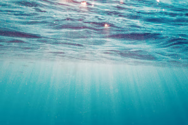 Sea